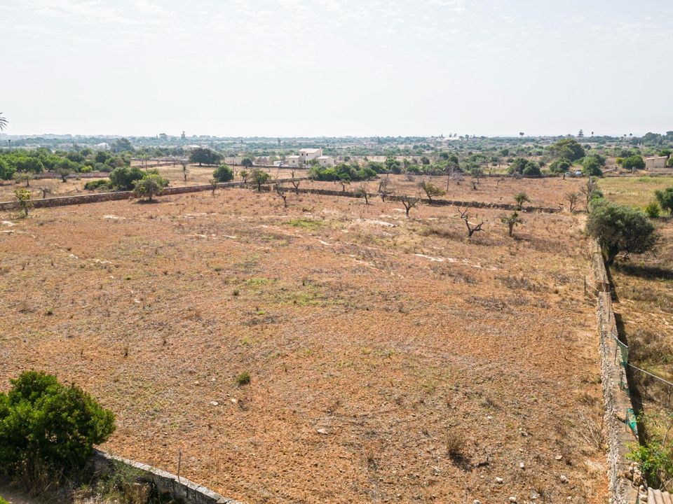 Helårsgrund i Manacor, Mallorca - foto 3