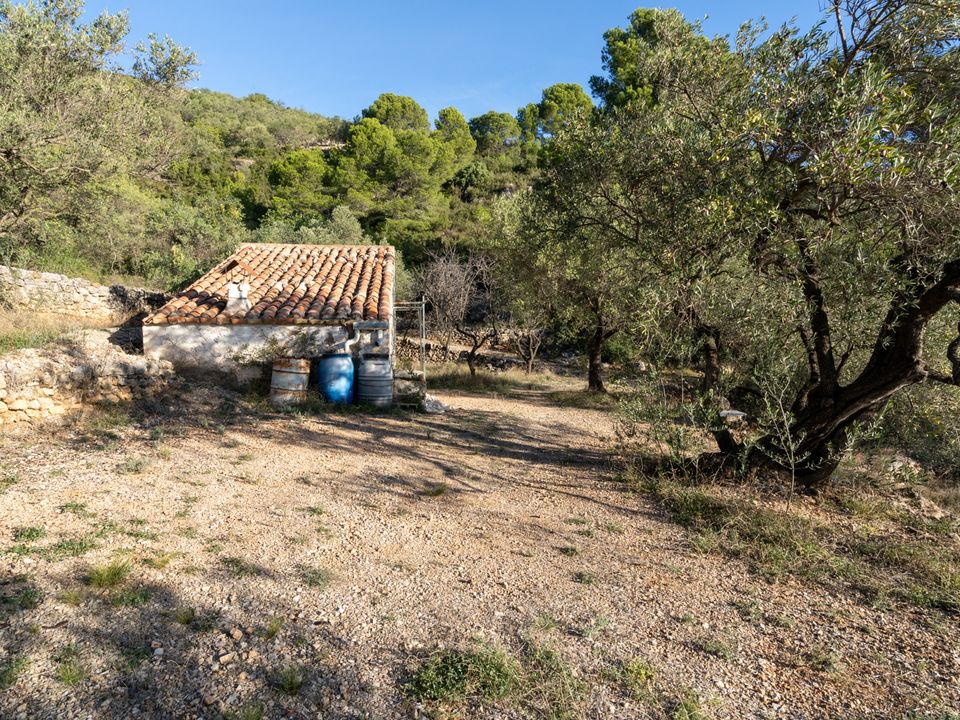 Finca i Mas De Barberans, Tarragona - foto 3