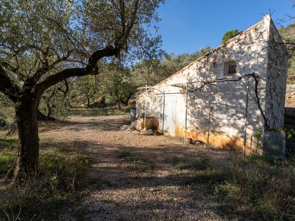 Finca i Mas De Barberans, Tarragona - foto 5