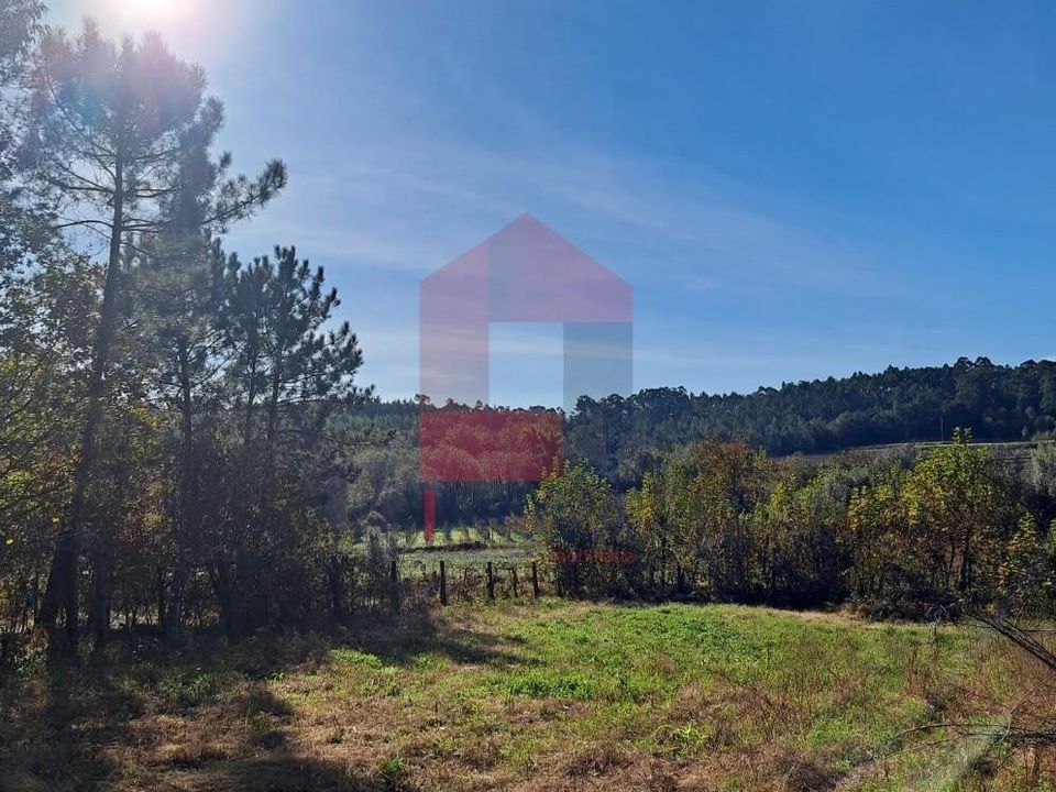 Helårsgrund i Vila Verde, Braga - foto 3