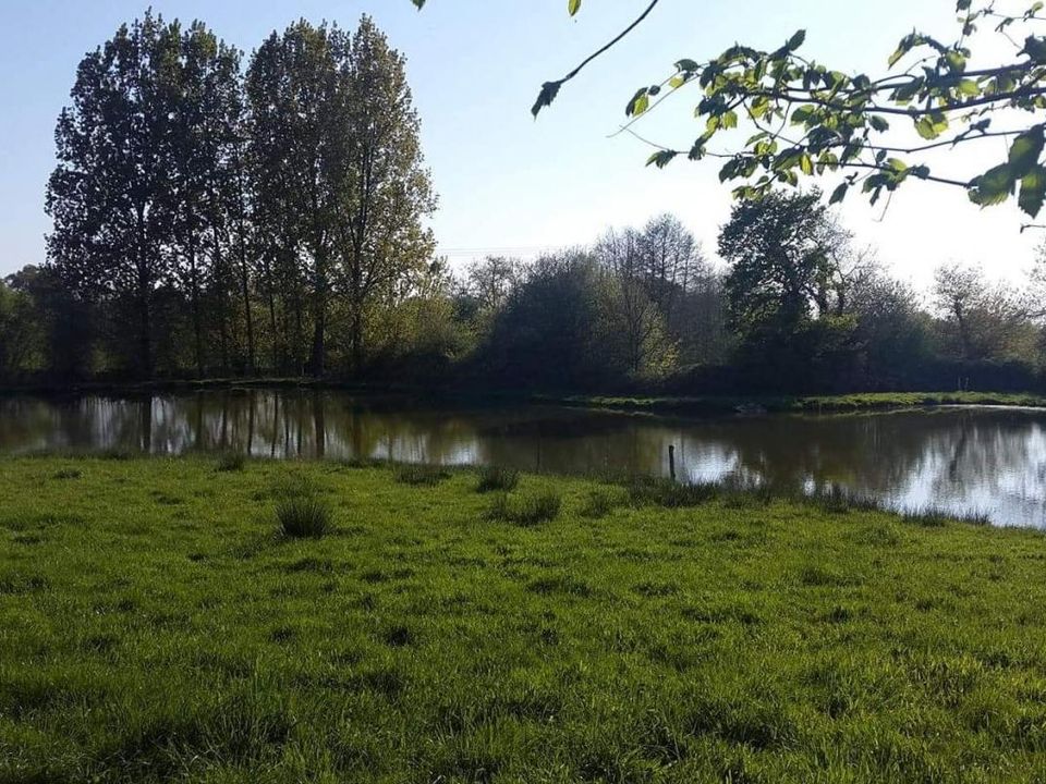 Helårsgrund i Ruffigné, Loire-Atlantique - foto 1