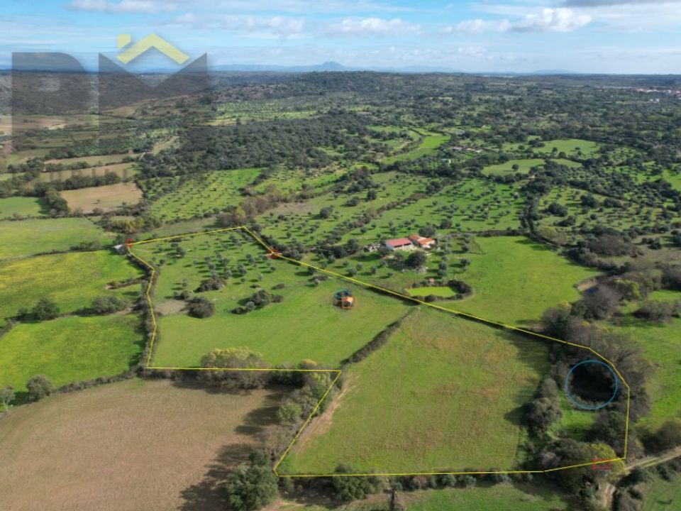 Farm i Idanha-a-Nova, Castelo Branco - foto 1