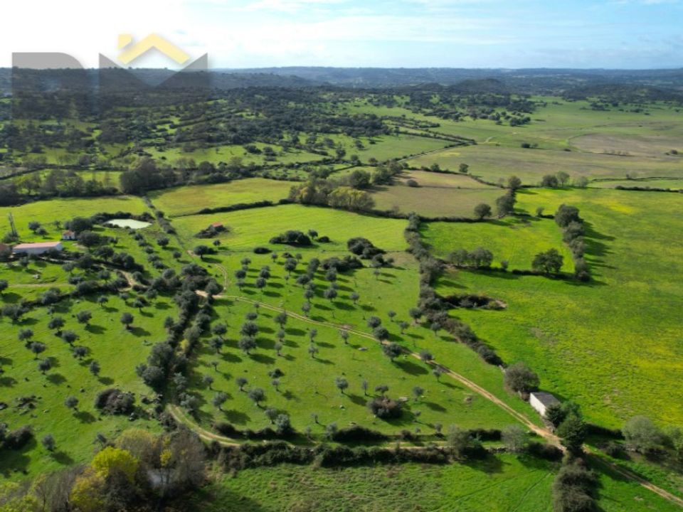 Farm i Idanha-a-Nova, Castelo Branco - foto 2
