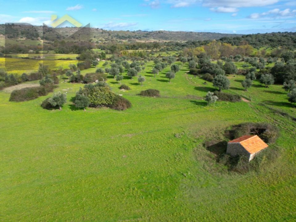 Farm i Idanha-a-Nova, Castelo Branco - foto 3