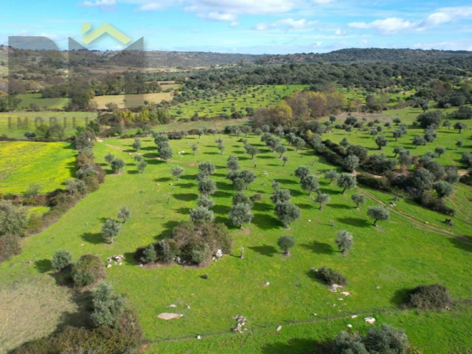Farm i Idanha-a-Nova, Castelo Branco - foto 4