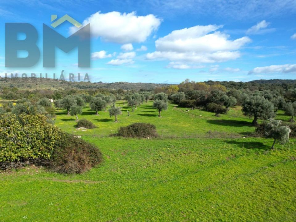Farm i Idanha-a-Nova, Castelo Branco - foto 5