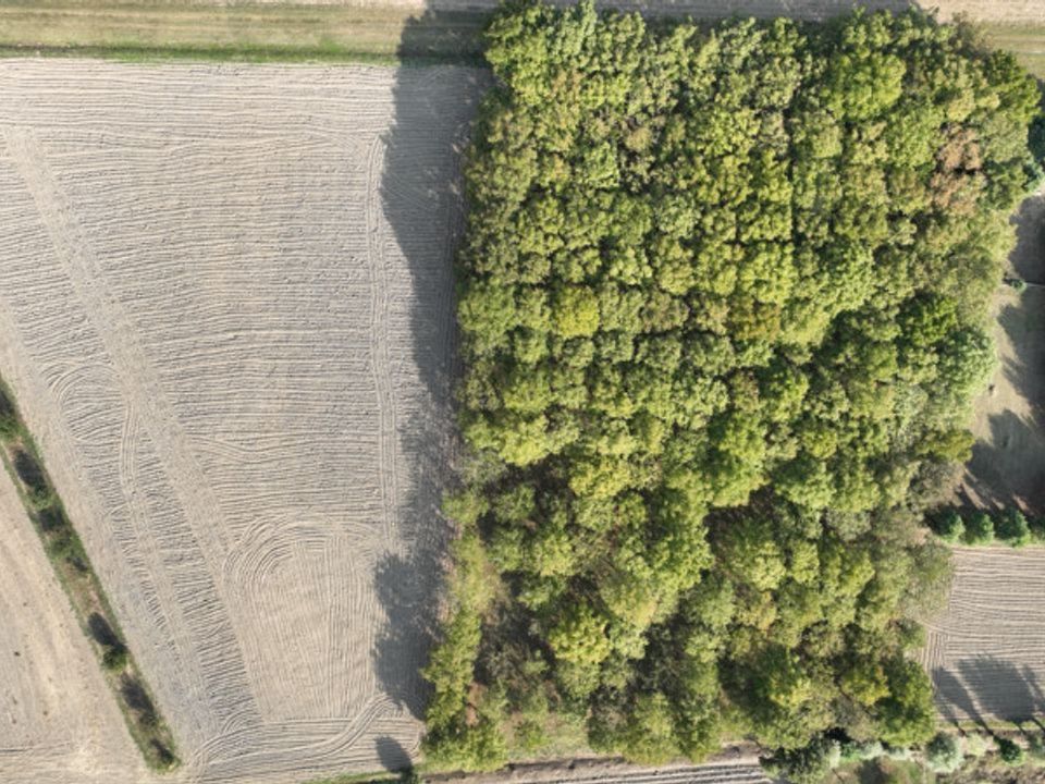 Helårsgrund i Este, Padua - foto 5