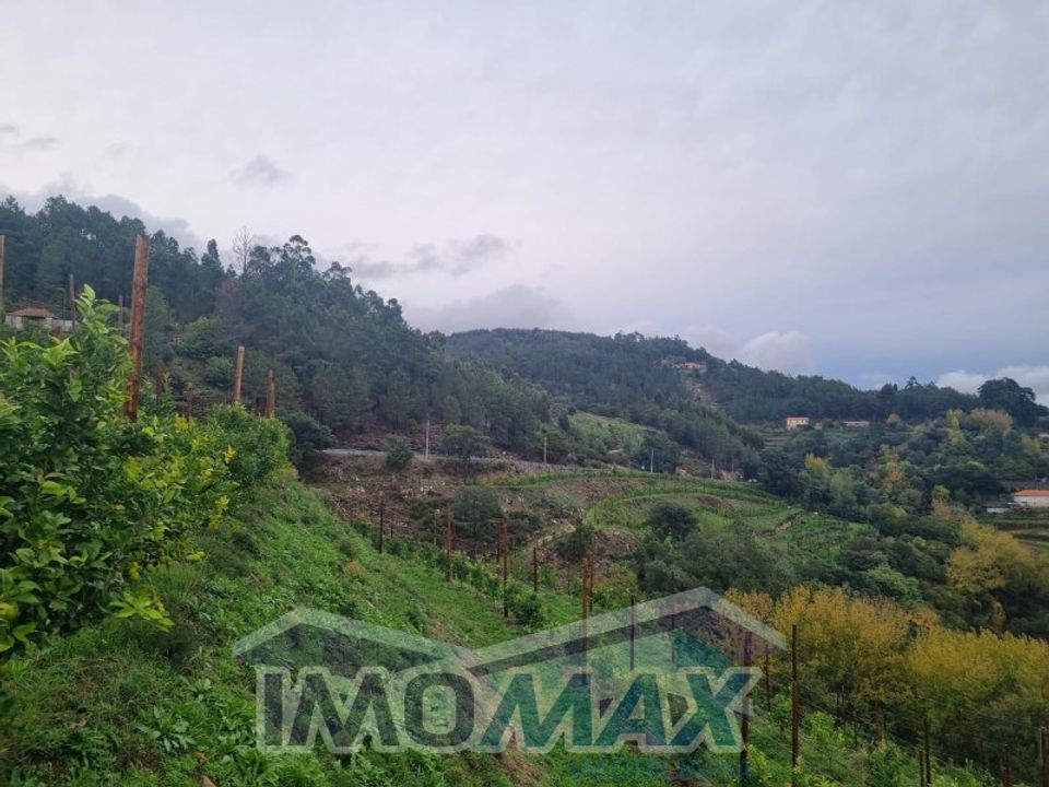 Farm i Santa Cruz do Douro e Sao Tome de Covelas, Porto - foto 4