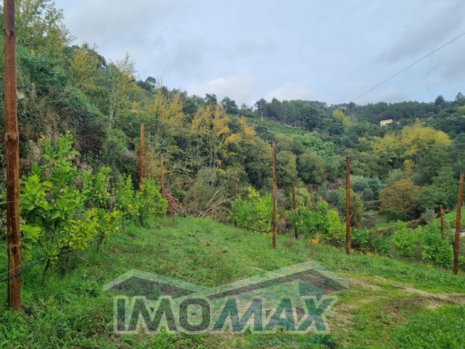 Farm i Santa Cruz do Douro e Sao Tome de Covelas, Porto - foto 5