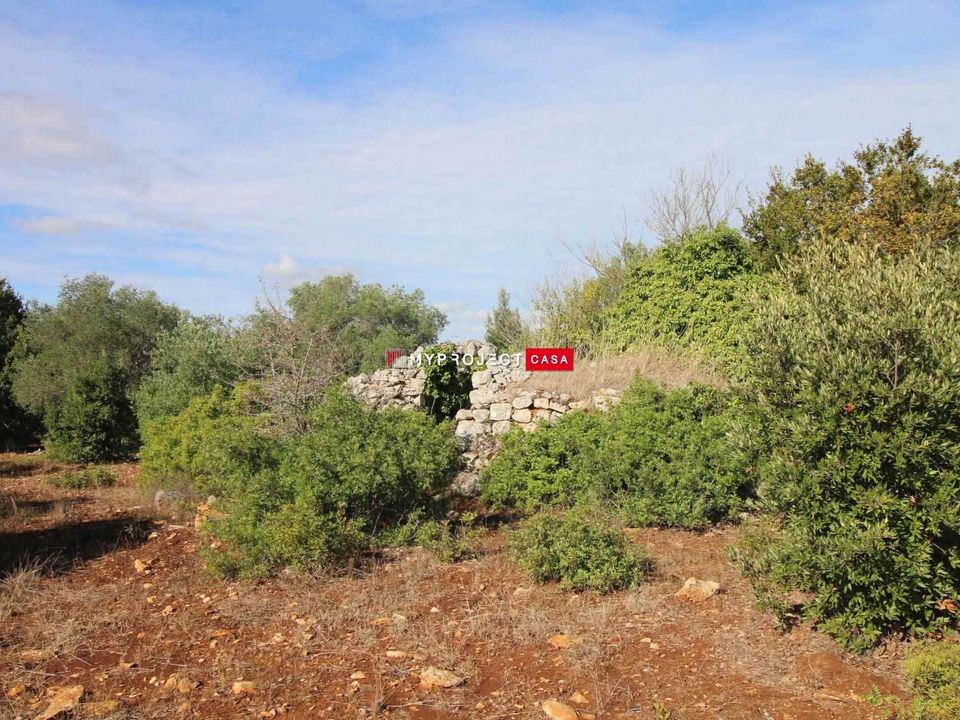 Landsbyhus i Martina Franca, Taranto - foto 3