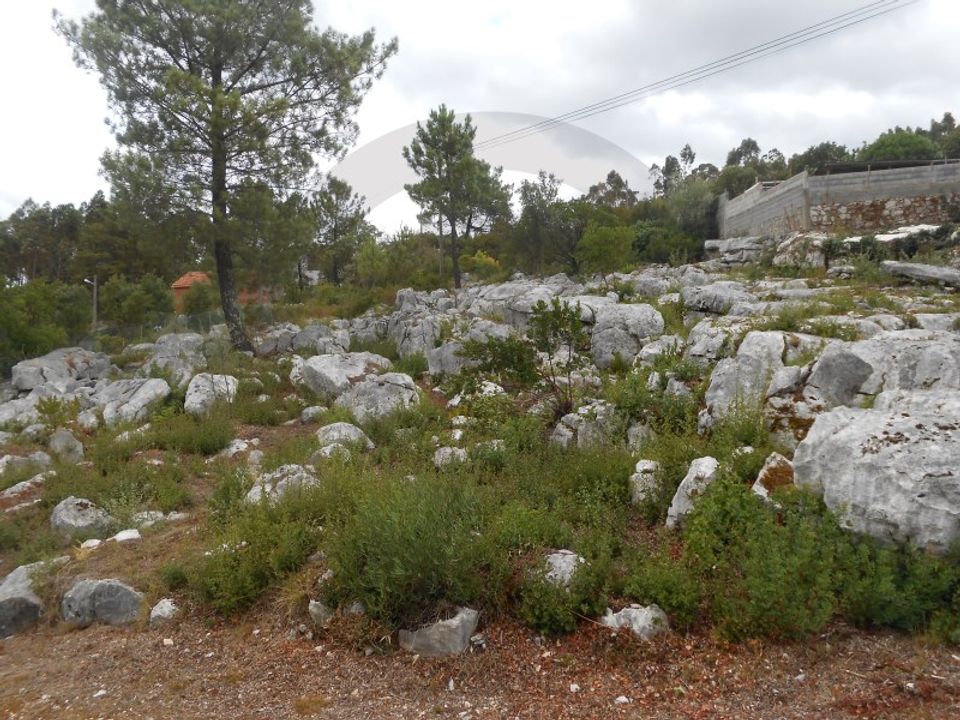 Helårsgrund i Mira de Aire, Leiria - foto 1