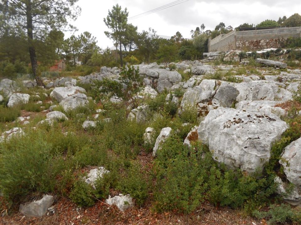 Helårsgrund i Mira de Aire, Leiria - foto 3