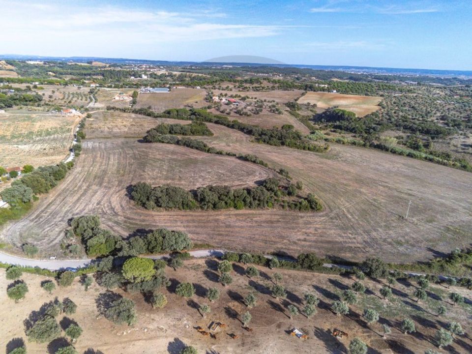 Helårsgrund i Torres Novas, Santarem - foto 3