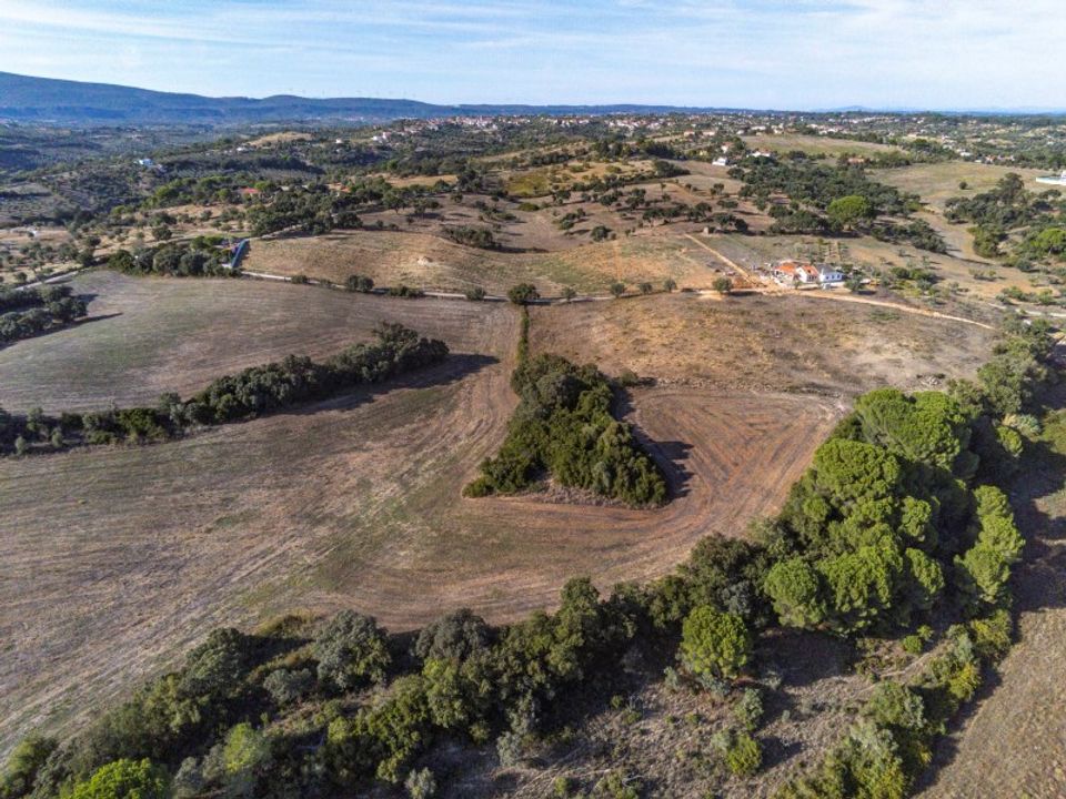 Helårsgrund i Torres Novas, Santarem - foto 4
