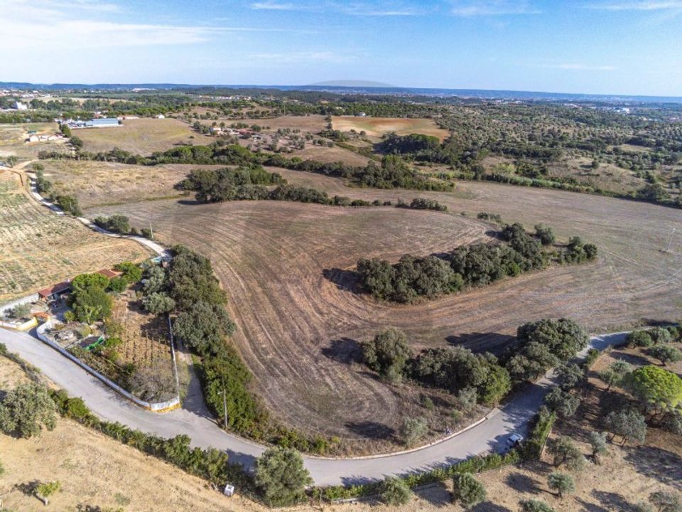 Helårsgrund i Torres Novas, Santarem - foto 5