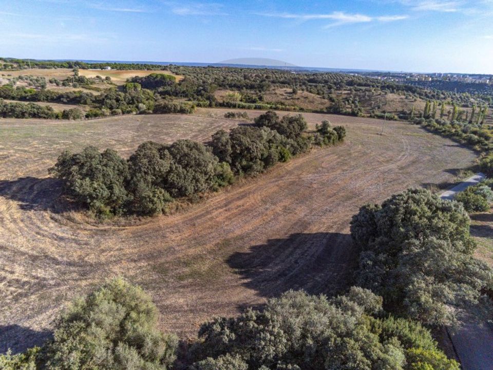 Helårsgrund i Torres Novas, Santarem - foto 1