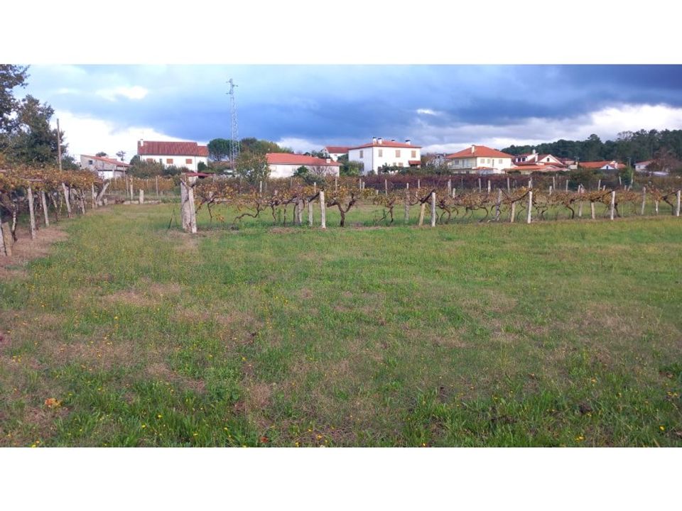 Helårsgrund i Moncao, Viana do Castelo - foto 2