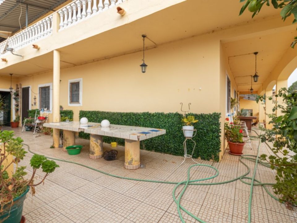 Farm i Silves, Faro - foto 4