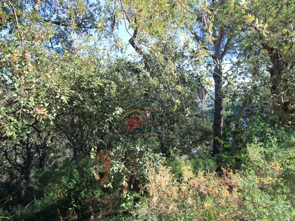 Helårsgrund i Calonge, Gerona - foto 2