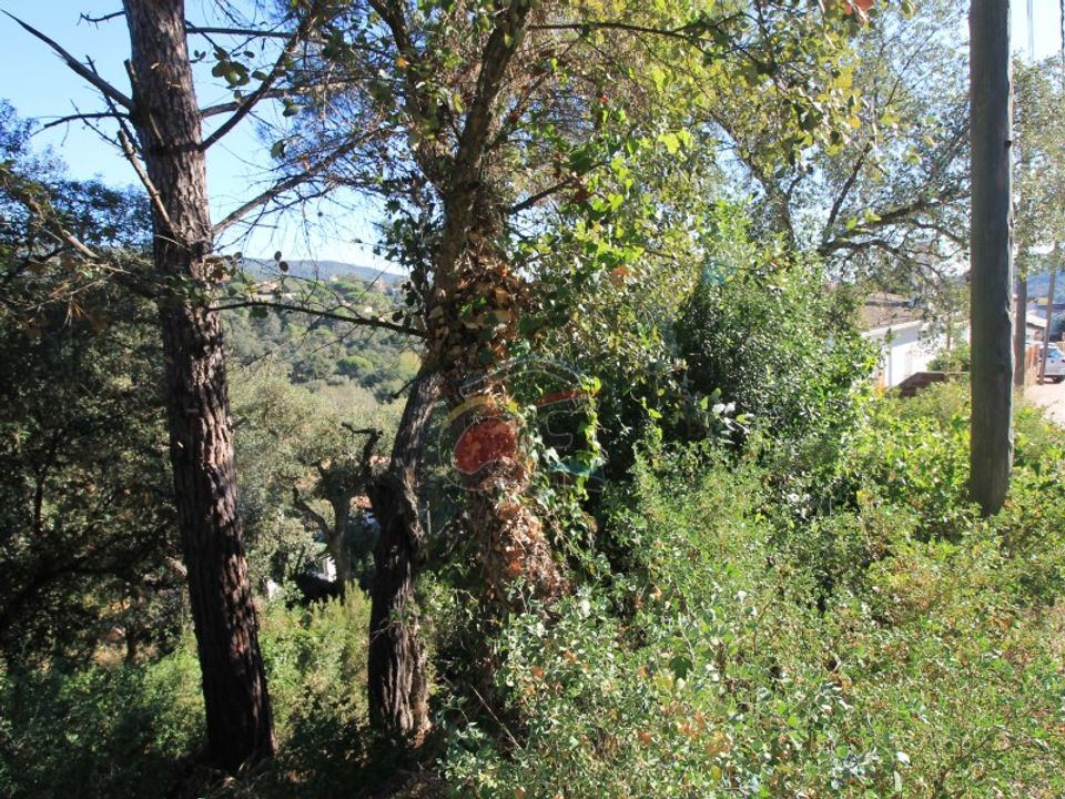 Helårsgrund i Calonge, Gerona - foto 3