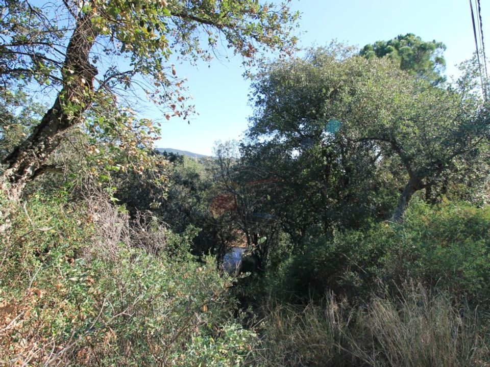 Helårsgrund i Calonge, Gerona - foto 5