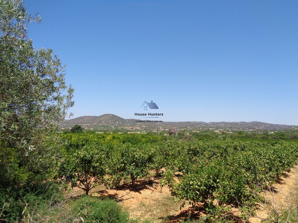 Helårsgrund i Faro, Faro - foto 2