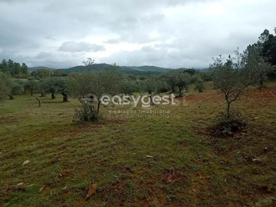 Helårsgrund i Vale da Senhora da Povoa, Castelo Branco - foto 1