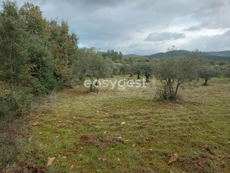 Helårsgrund i Vale da Senhora da Povoa, Castelo Branco - foto 3