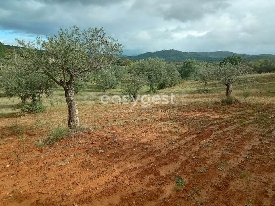 Helårsgrund i Vale da Senhora da Povoa, Castelo Branco - foto 5