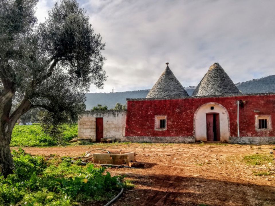Landejendom i Fasano, Brindisi - foto 1
