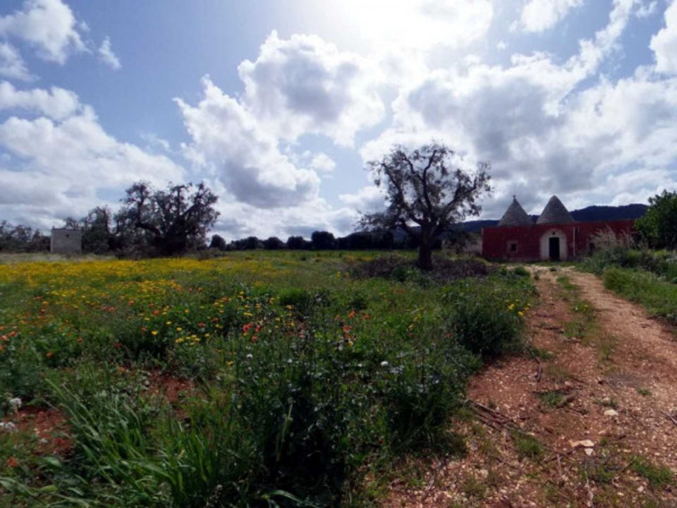Landejendom i Fasano, Brindisi - foto 3