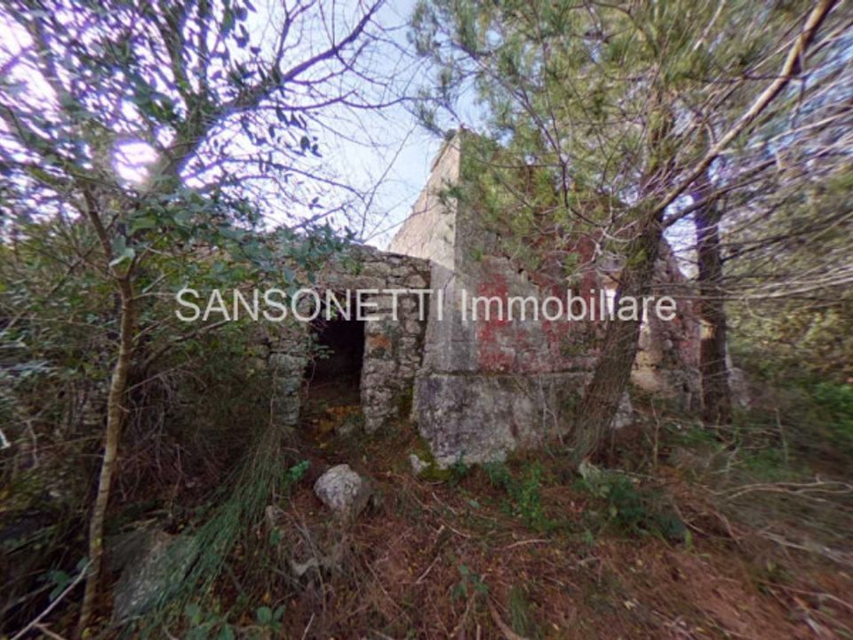 Landejendom i Fasano, Brindisi - foto 4