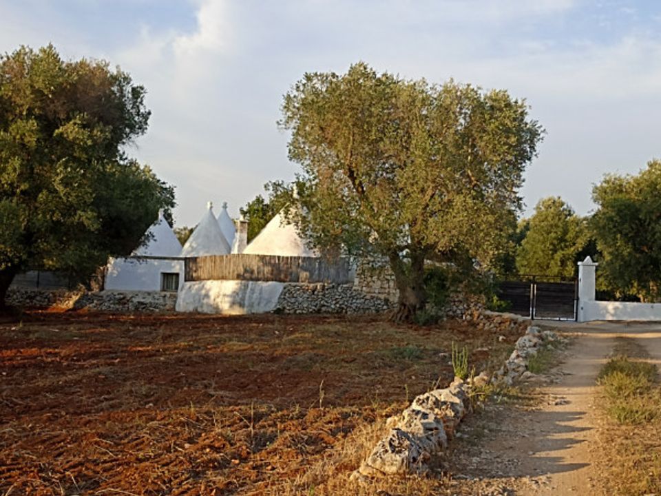 Landejendom i Ostuni, Brindisi - foto 3