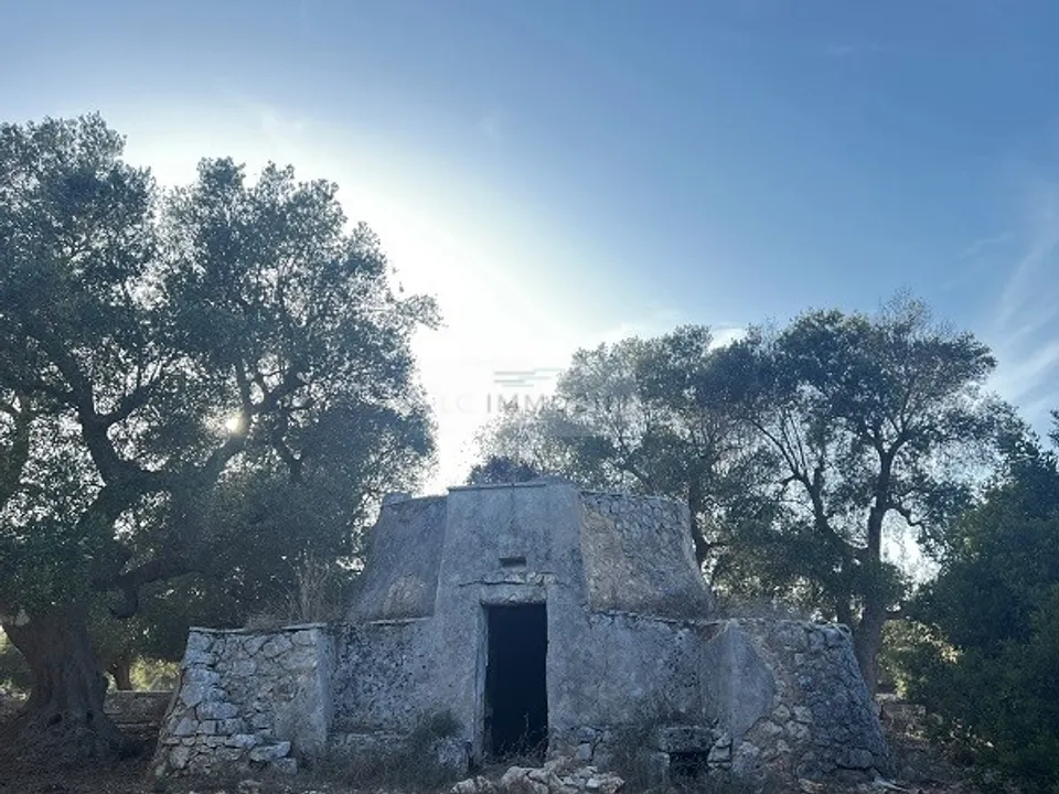 Helårsgrund i Carovigno, Brindisi - foto 3