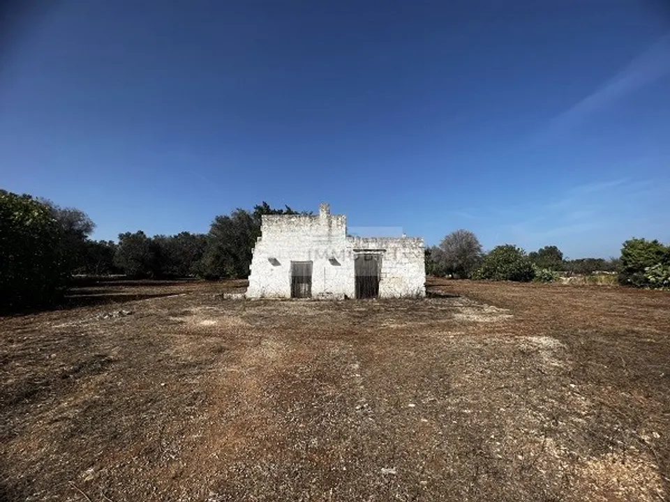 Tomt i Carovigno, Brindisi - bilde 1