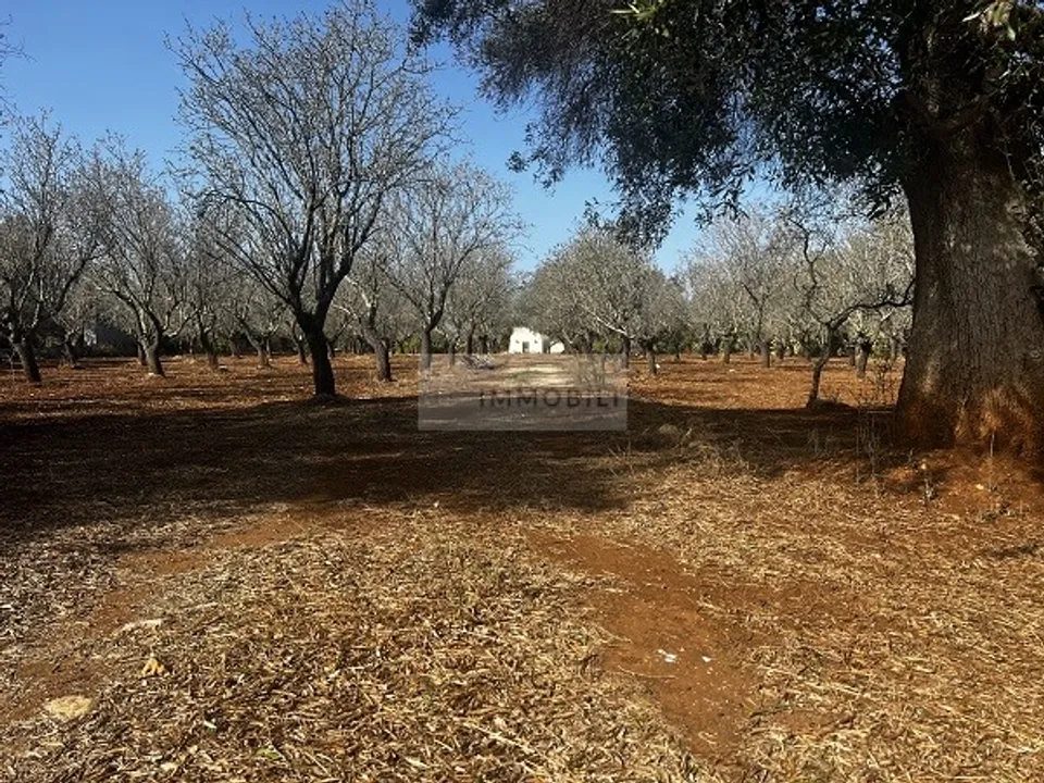 Tomt i Carovigno, Brindisi - bilde 2