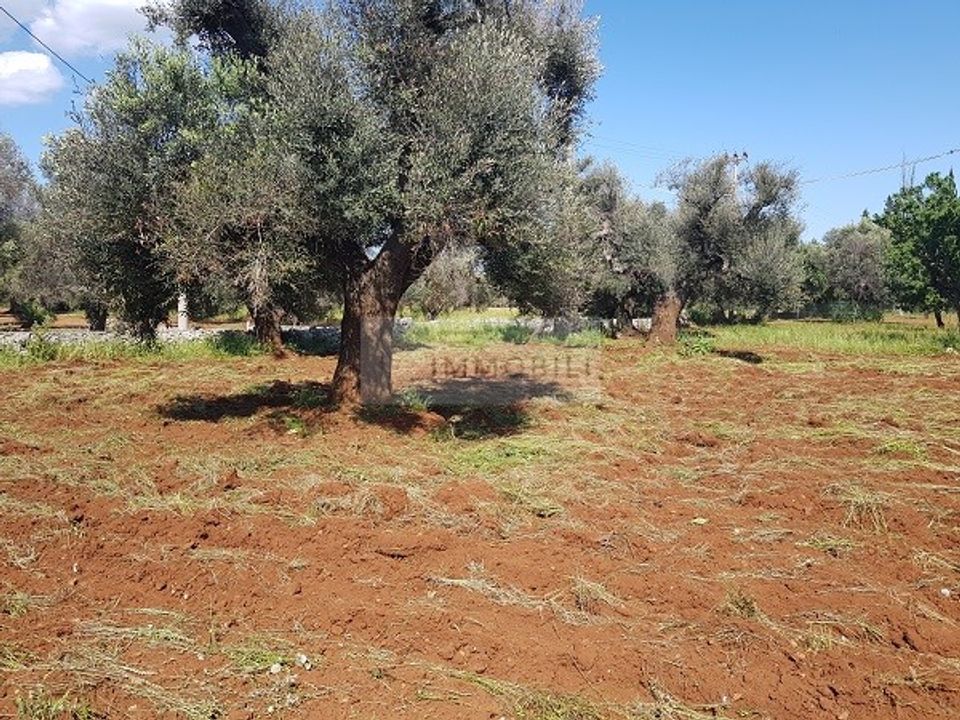 Helårsgrund i San Vito dei Normanni, Brindisi - foto 5