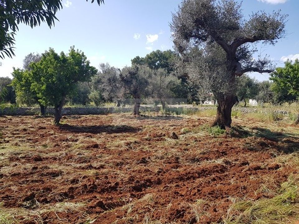 Helårsgrund i San Vito dei Normanni, Brindisi - foto 4