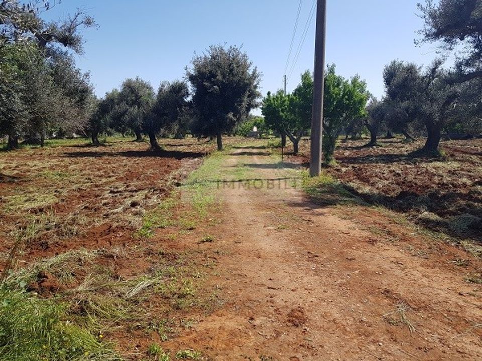 Helårsgrund i San Vito dei Normanni, Brindisi - foto 3