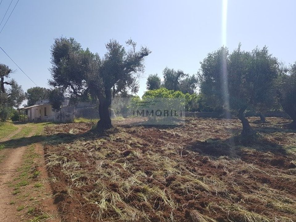 Helårsgrund i San Vito dei Normanni, Brindisi - foto 2