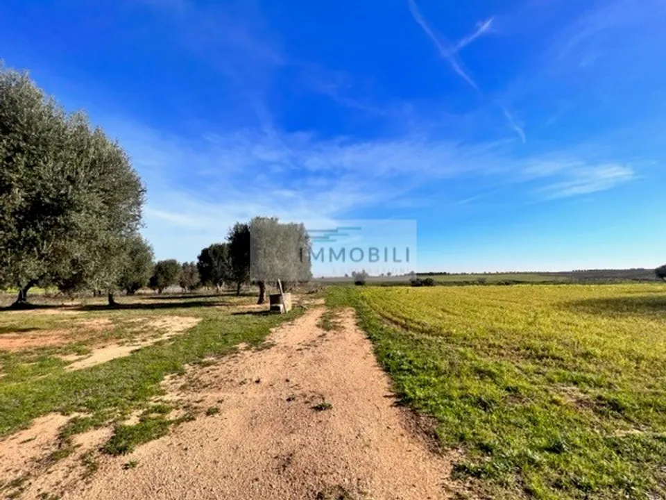 Helårsgrund i Carovigno, Brindisi - foto 3