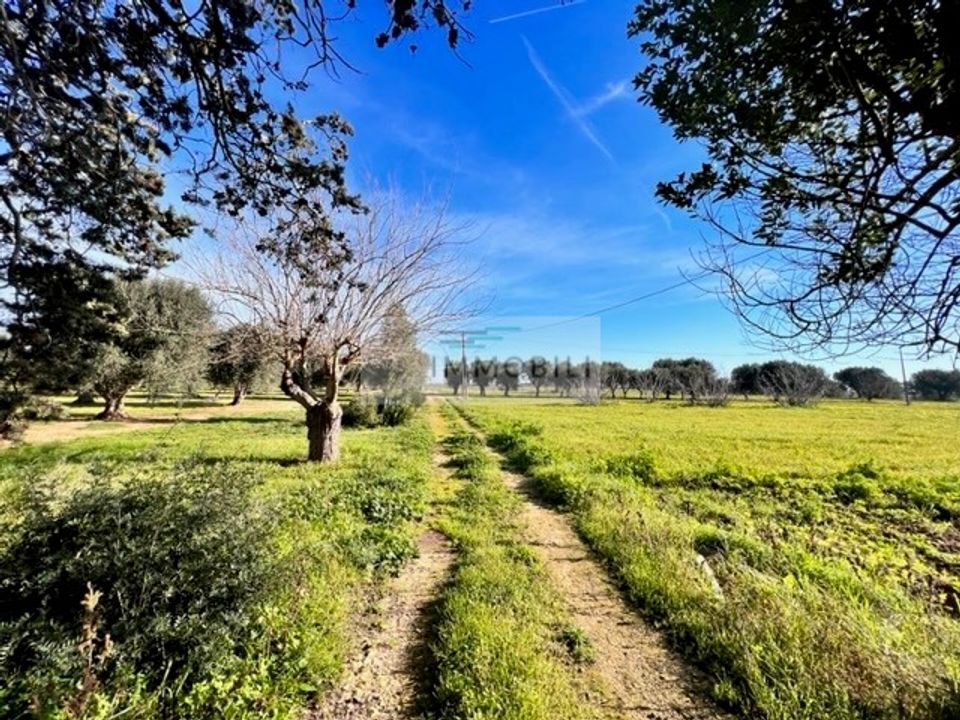 Helårsgrund i Carovigno, Brindisi - foto 5