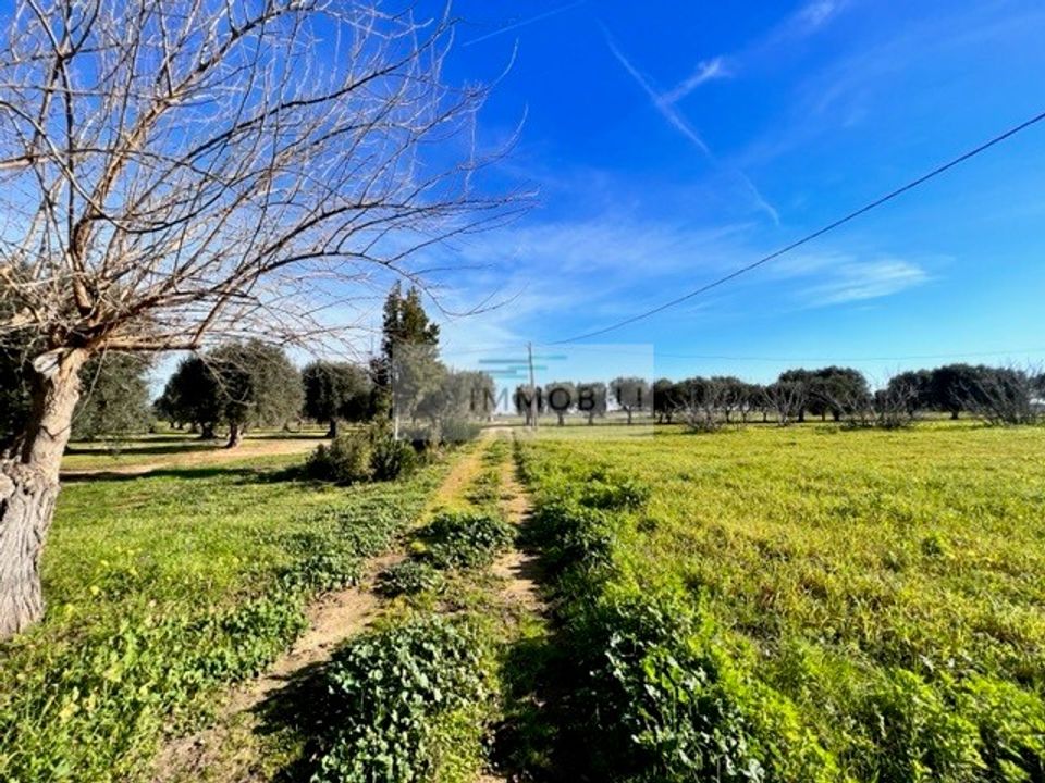 Helårsgrund i Carovigno, Brindisi - foto 4