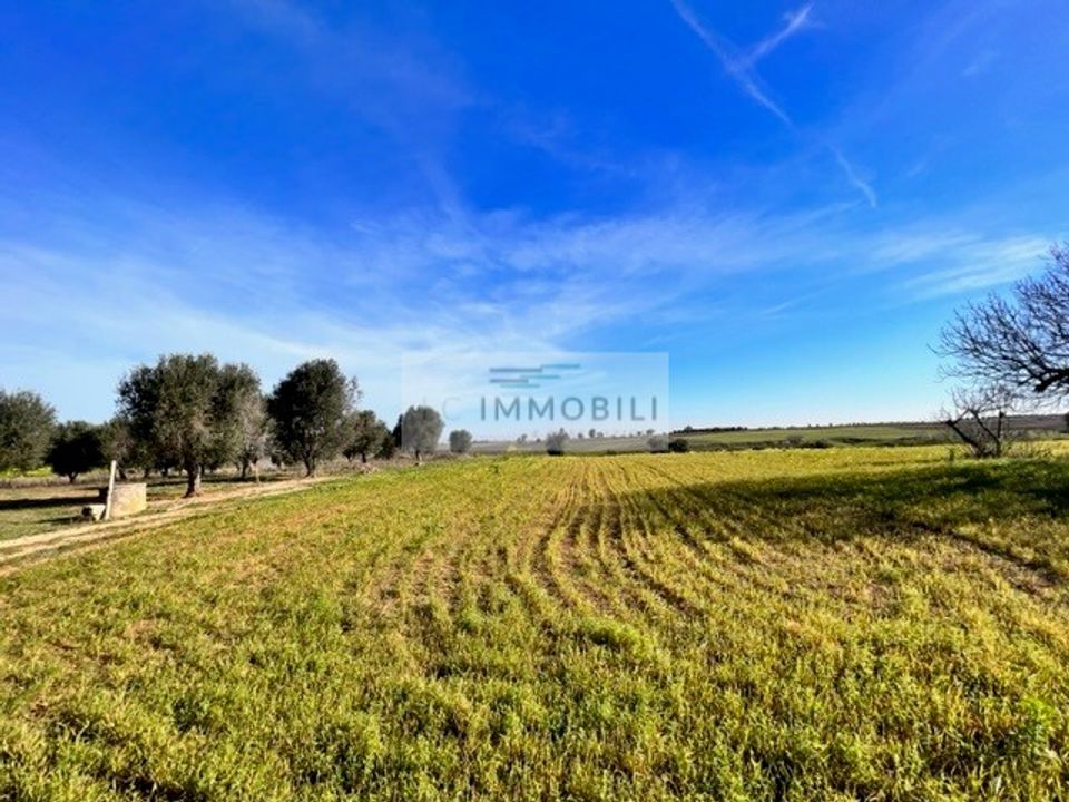 Helårsgrund i Carovigno, Brindisi - foto 1