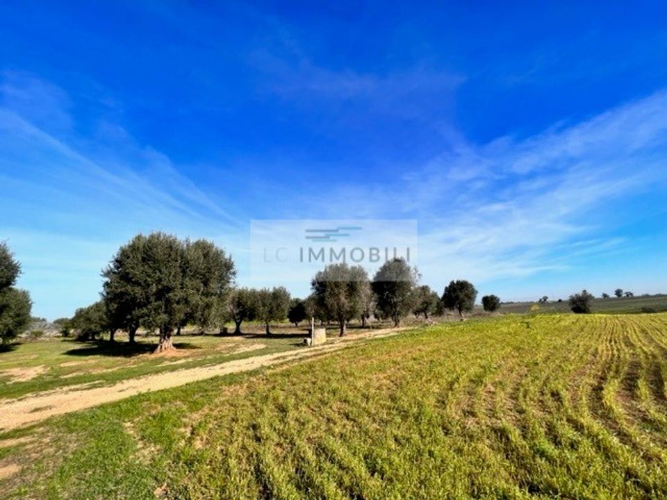Helårsgrund i Carovigno, Brindisi - foto 2