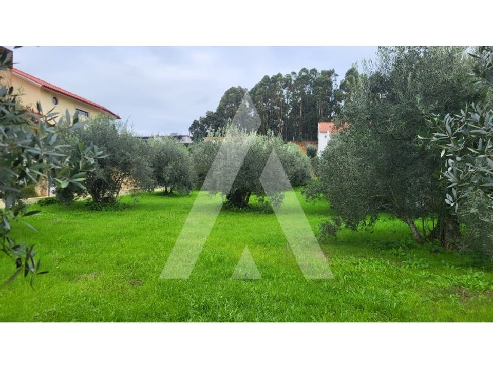 Helårsgrund i Leiria, Leiria - foto 1