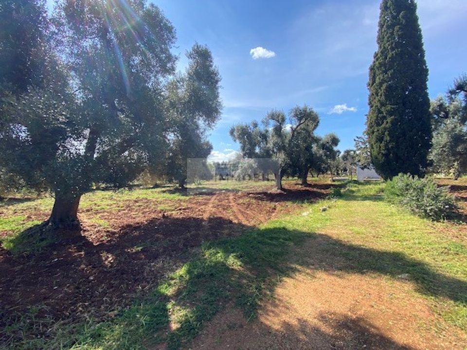 Helårsgrund i Carovigno, Brindisi - foto 2