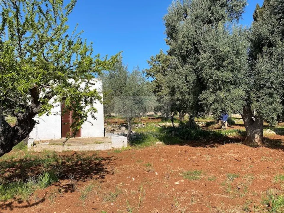 Helårsgrund i Carovigno, Brindisi - foto 3