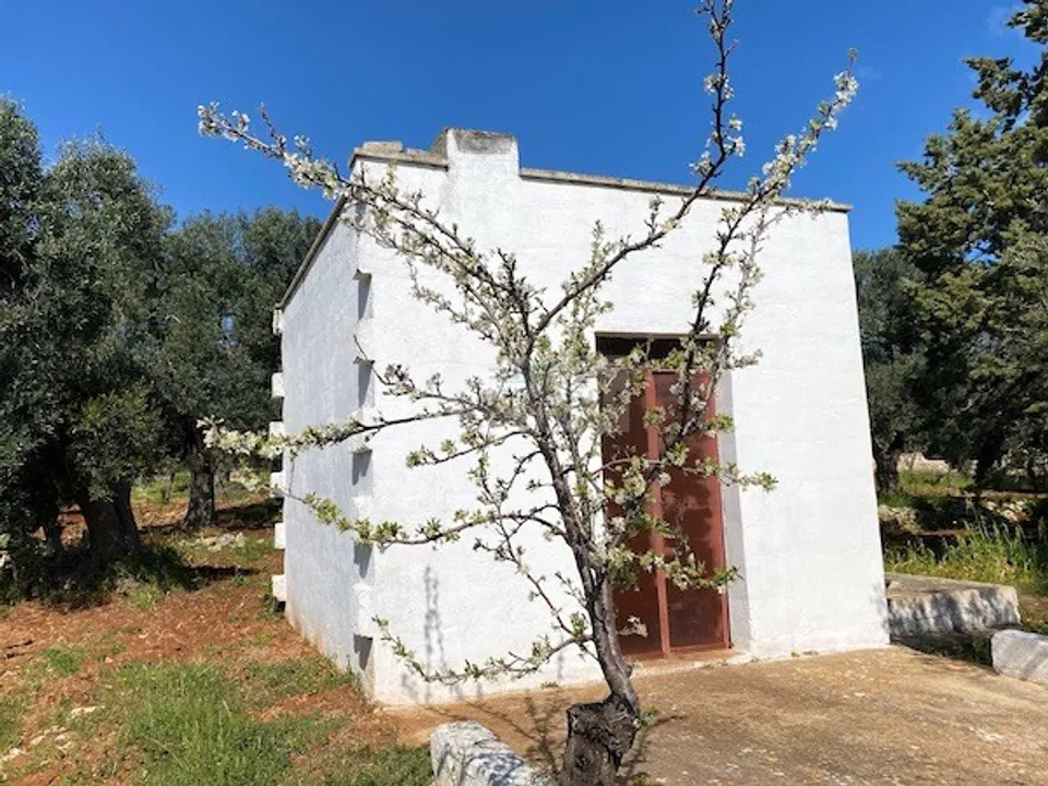 Helårsgrund i Carovigno, Brindisi - foto 1