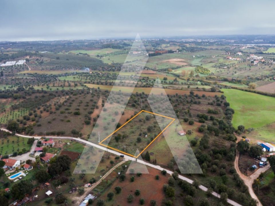 Helårsgrund i Torres Novas, Santarem - foto 3